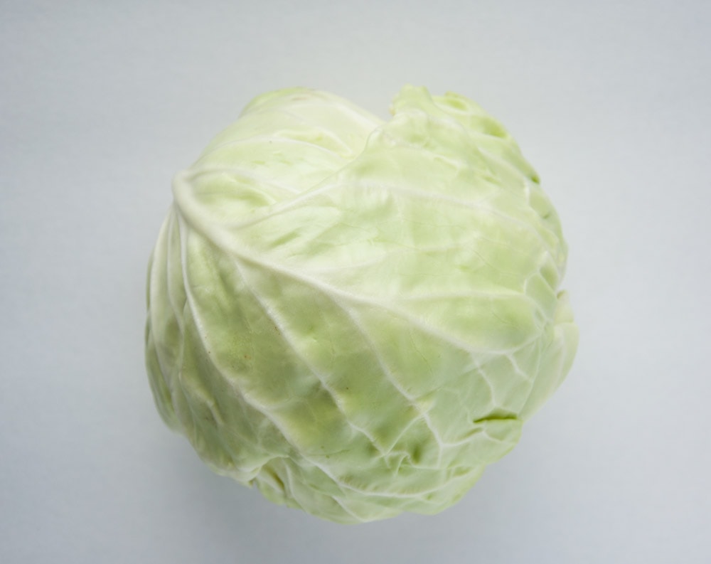cabbage on white background for turkey cabbage roll recipe