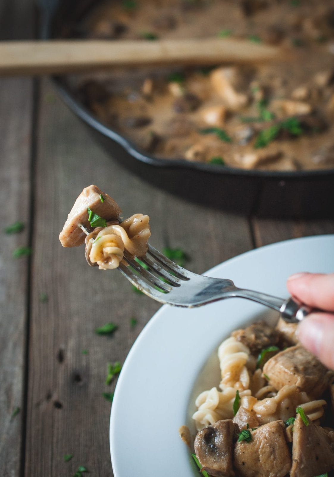 Picture of chicken stroganoff on a fork
