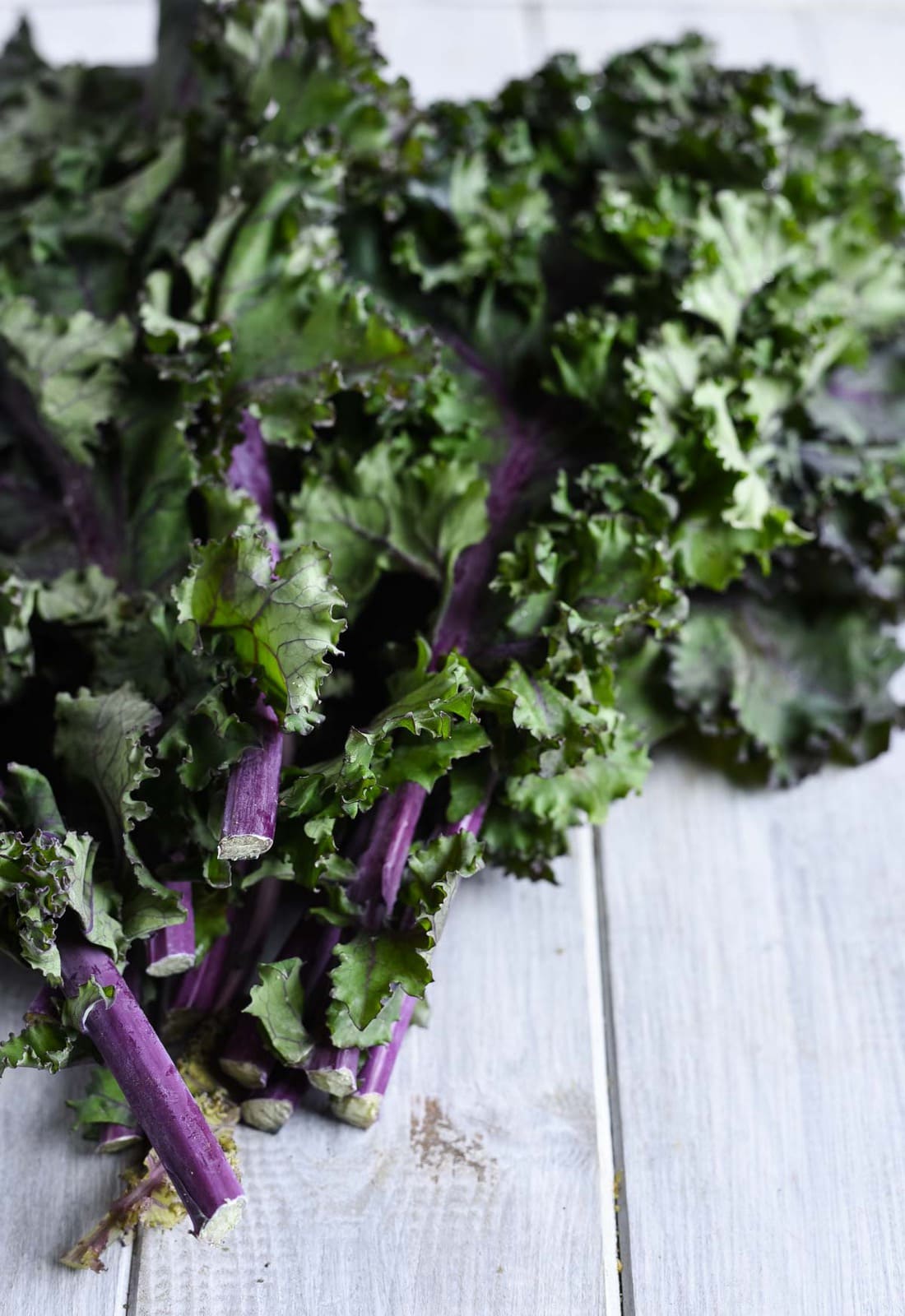 Red curly leaf kale