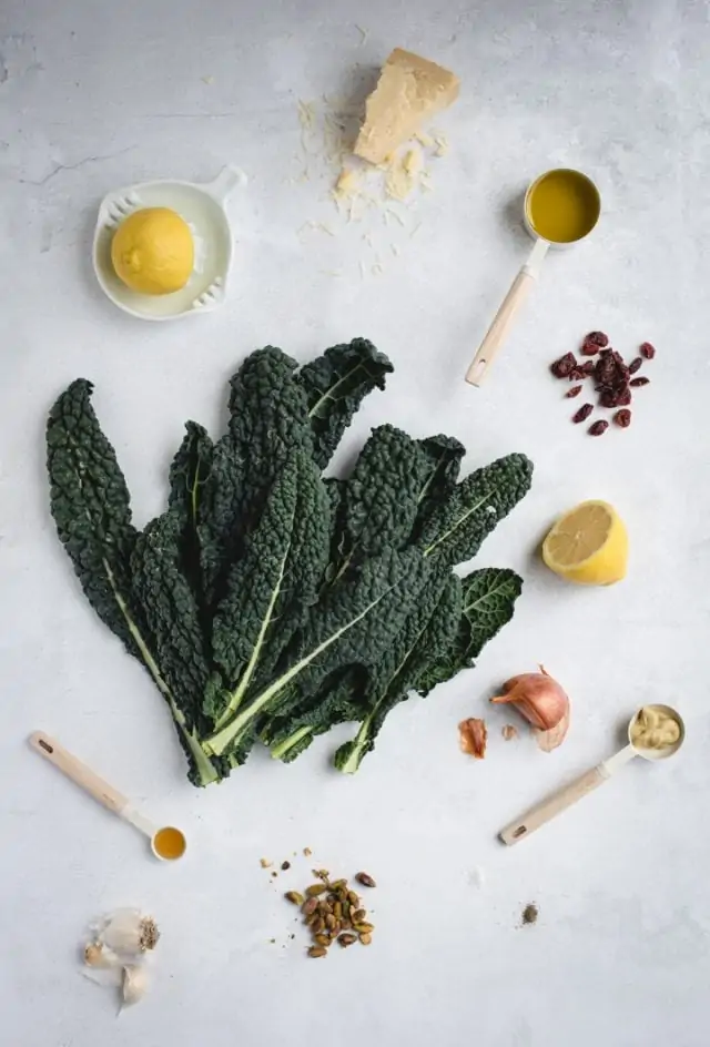 overhead picture of kale, lemon and other ingredients laid out on gray background