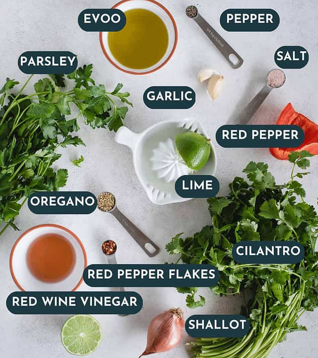 cilantro chimichurri ingredients laid out as a flat lay on a light gray background