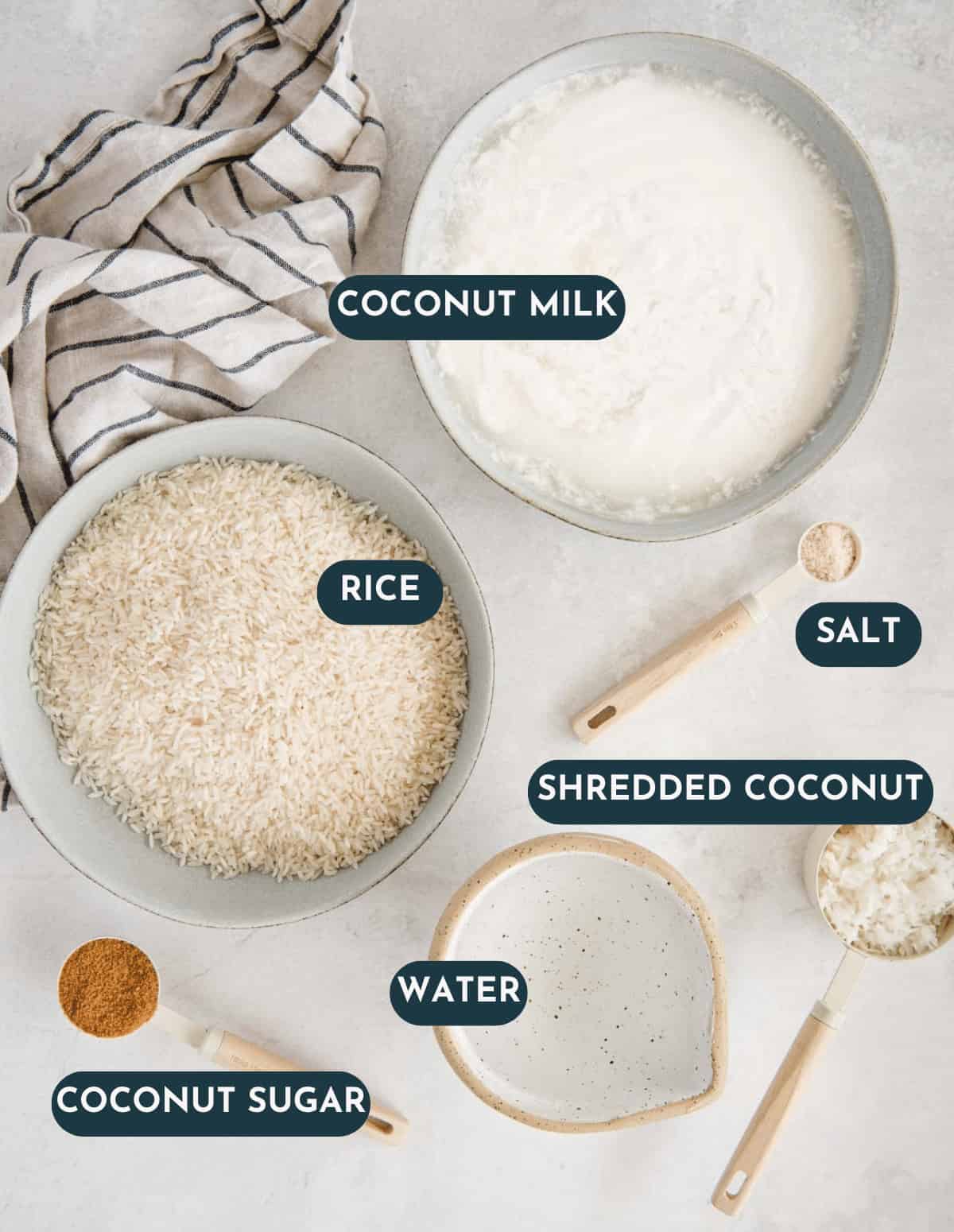 coconut rice ingredients labeled from overhead