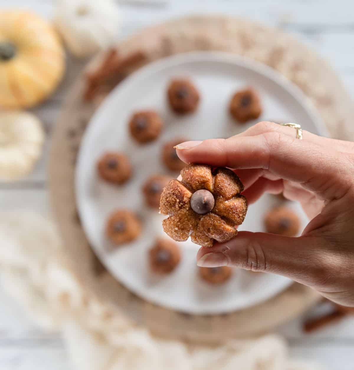 Hand holding a pumpkin energy ball close up
